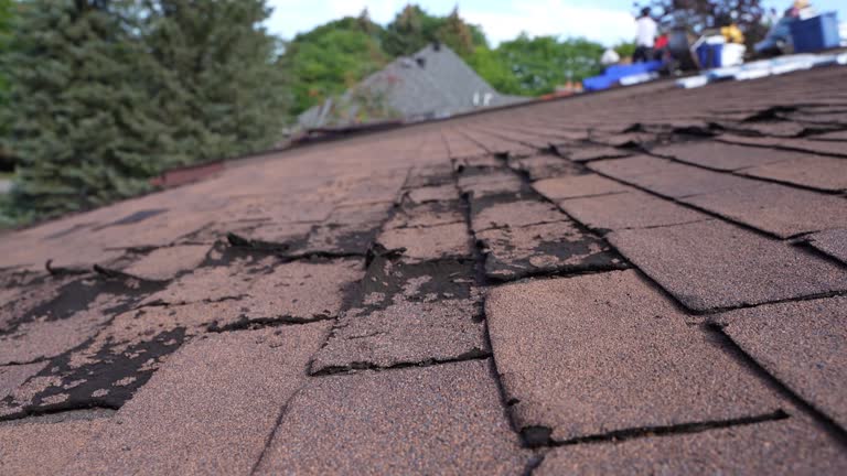  Central City, NE Roofing Service Pros