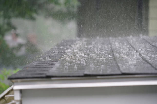 Best Chimney Flashing Repair  in Central City, NE