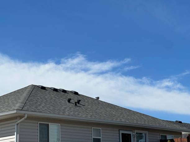 Best Metal Roofing Installation  in Central City, NE